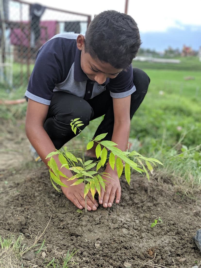 Bloom in Camera Frames